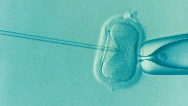 胚胎基因檢測夯 難題隨之而來