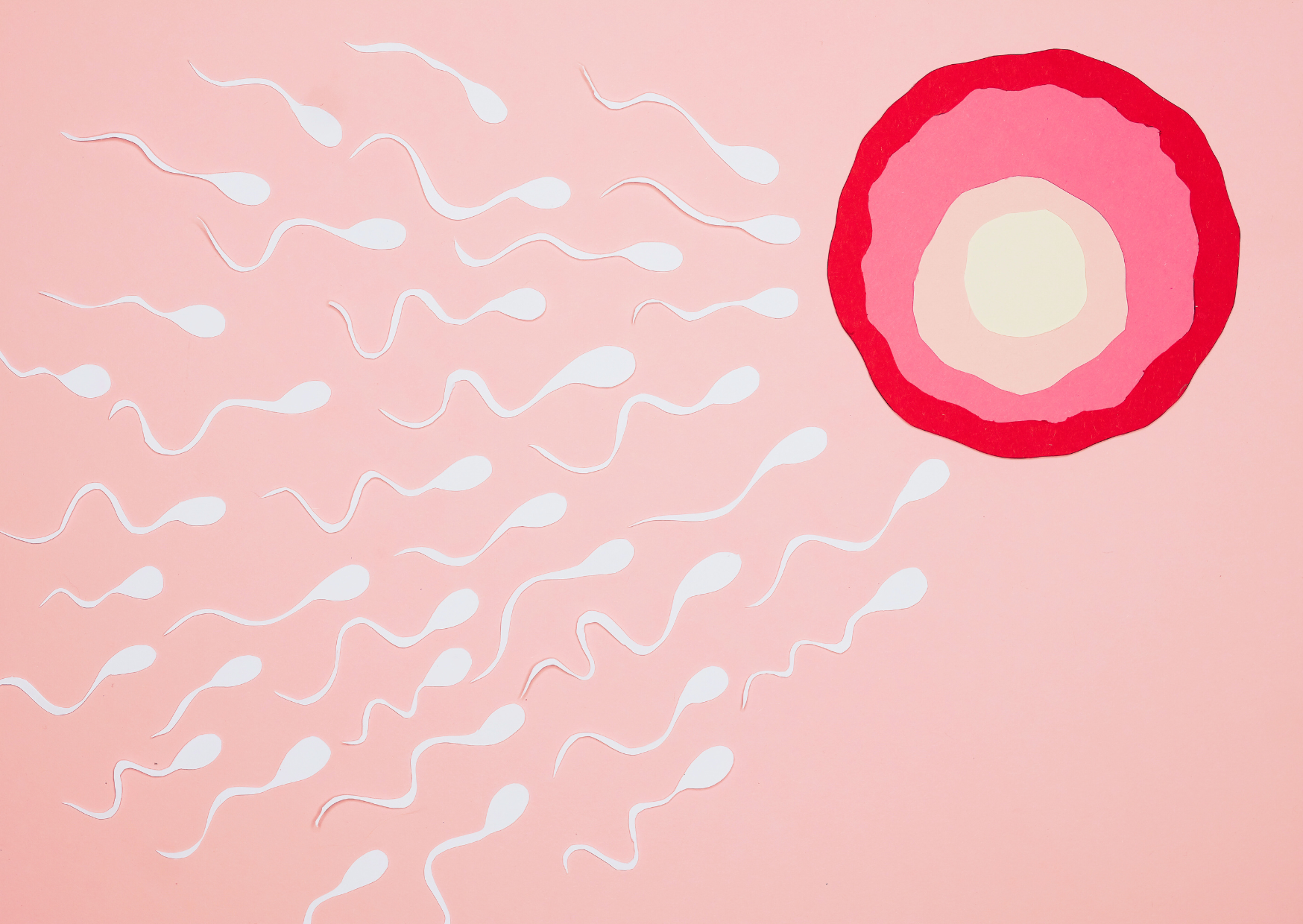 夏天精子活力勝過冬天