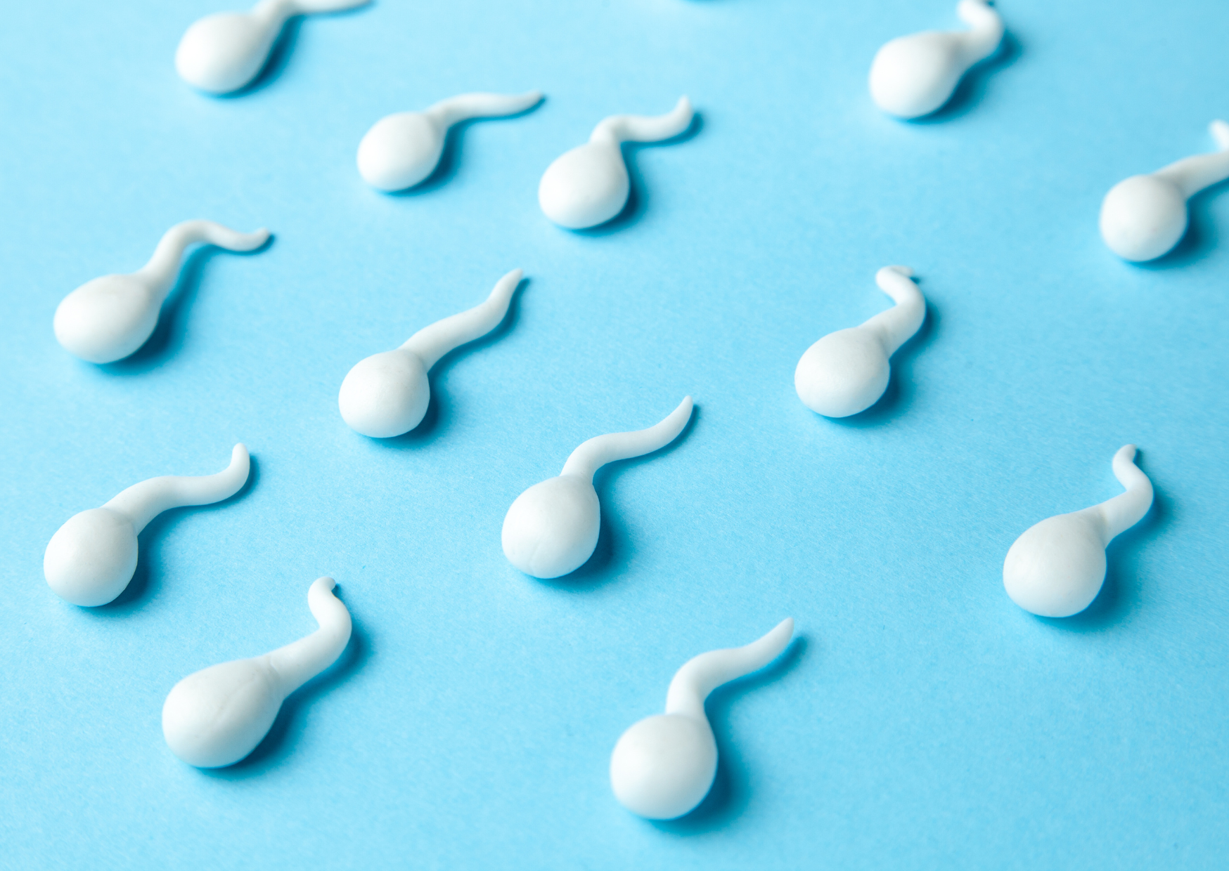 禁慾會影響精子的品質嗎？