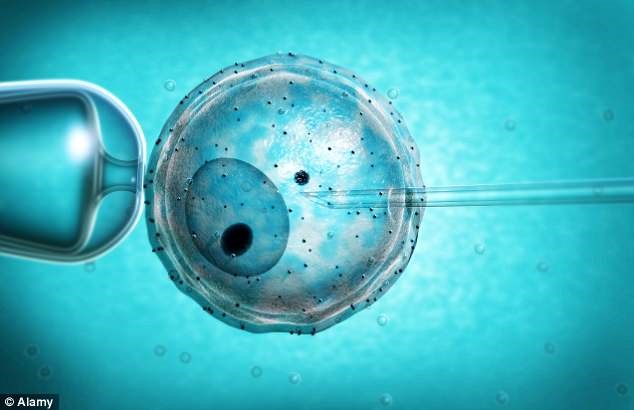 體外受精的胚胎冷凍還是新鮮移植好？
