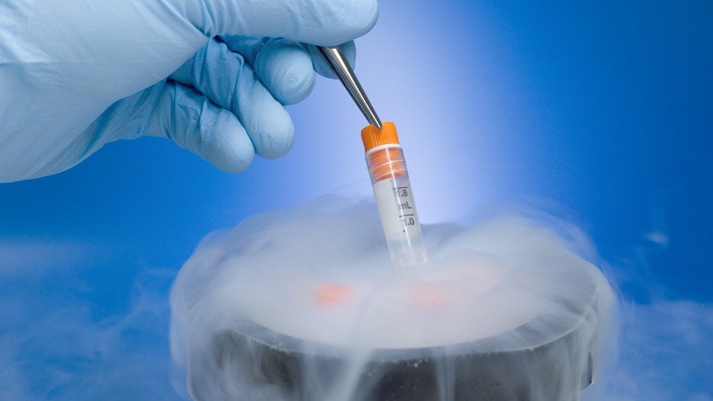使用冷凍胚胎技術比較容易生女孩