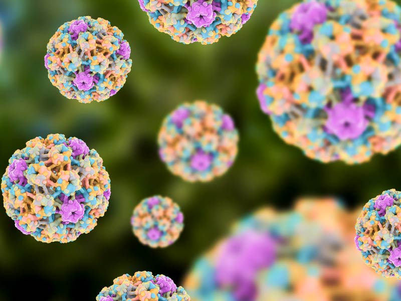 HPV疫苗一針便能見效！