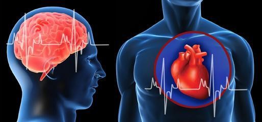 不健康的心臟對女性大腦的威脅可能比男性更大