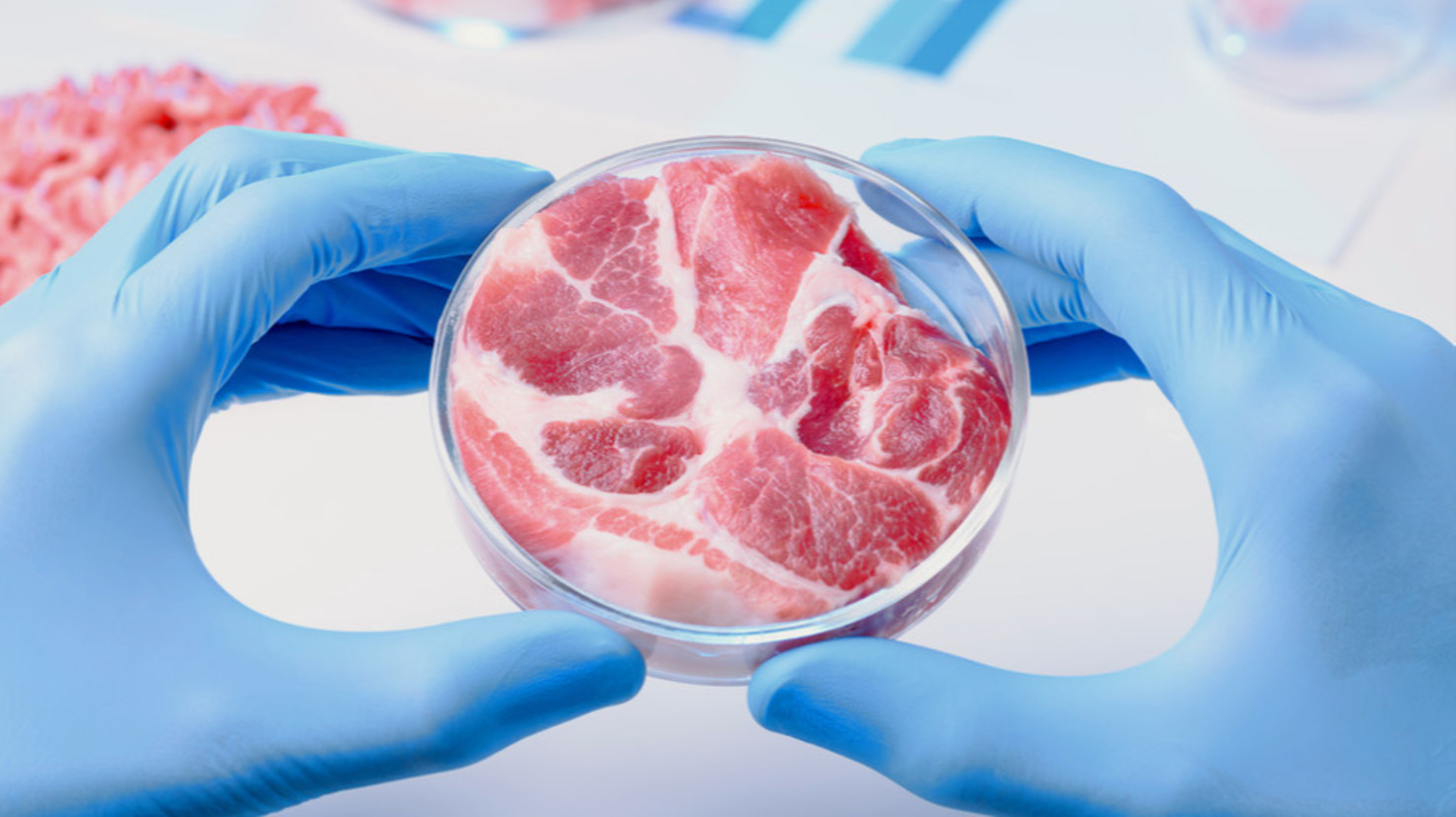 2020最大的科學突破之一：培養肉的發明